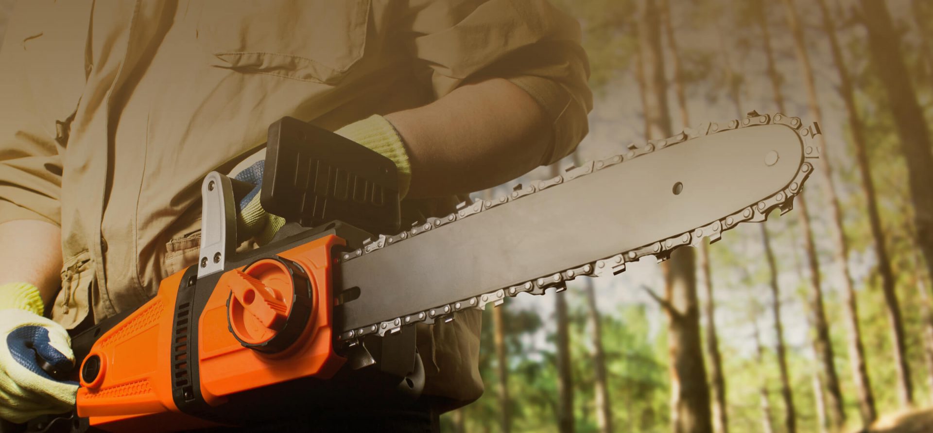 Complete Tree Service and Tree Removal Rancho Tree Care