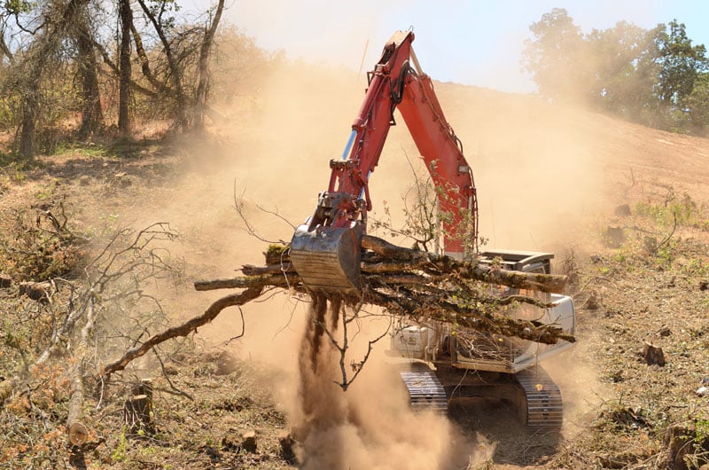 The Importance of Brush Clearing Services