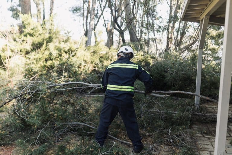 Rancho Landscape and Tree Care crew clearing storm damaged branches, CA