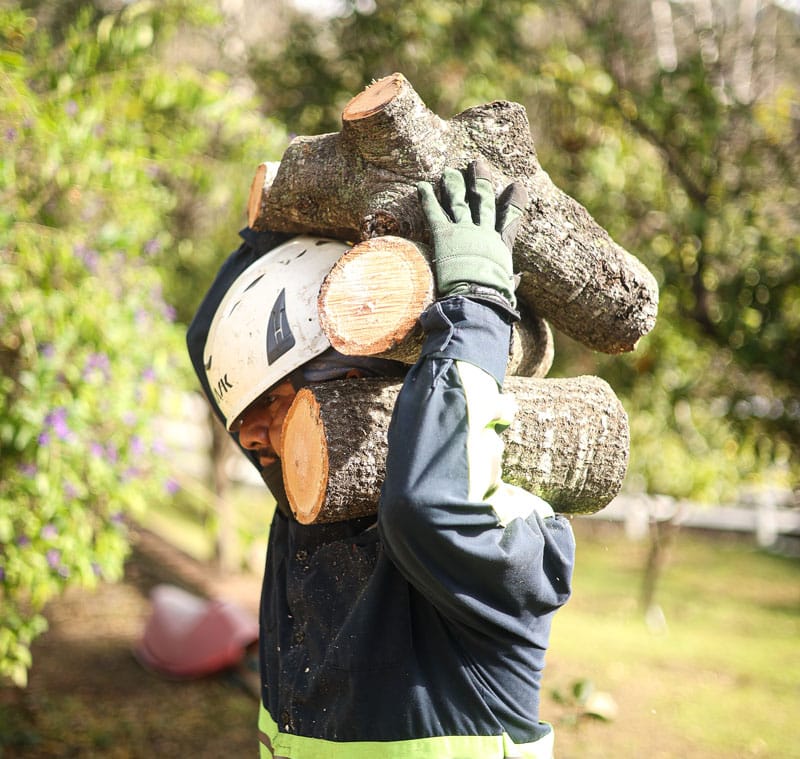 stump grinding services