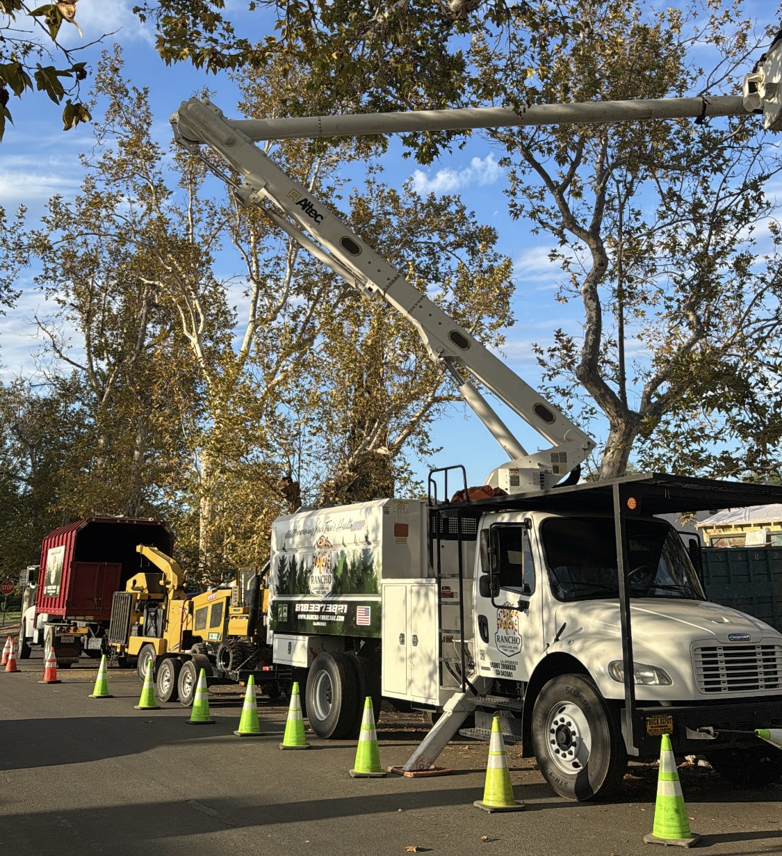 Bucket truck and tree removal equipment for professional tree removal