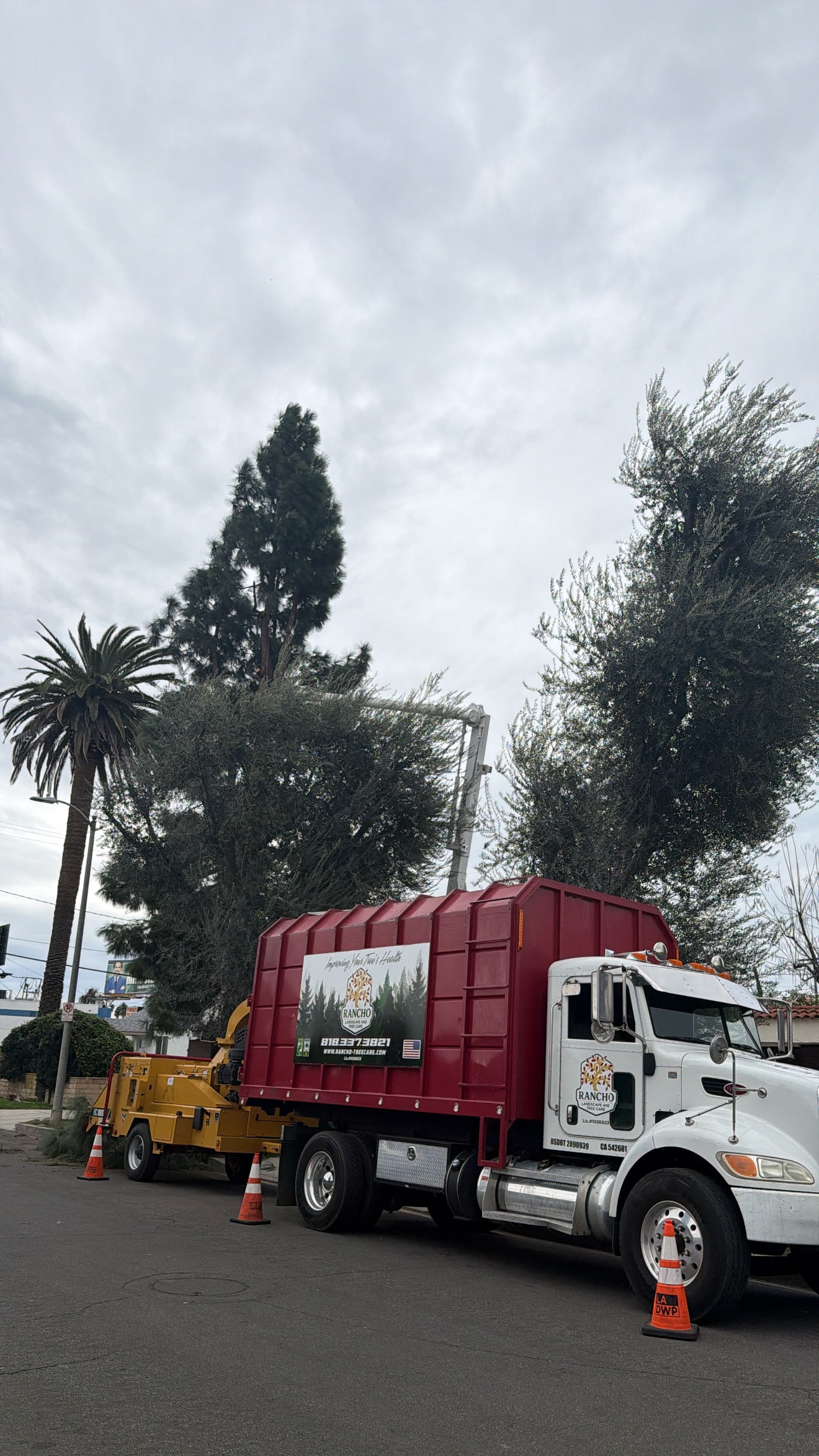 Rancho Landscape & Tree Care chipper truck at a tree trimming job