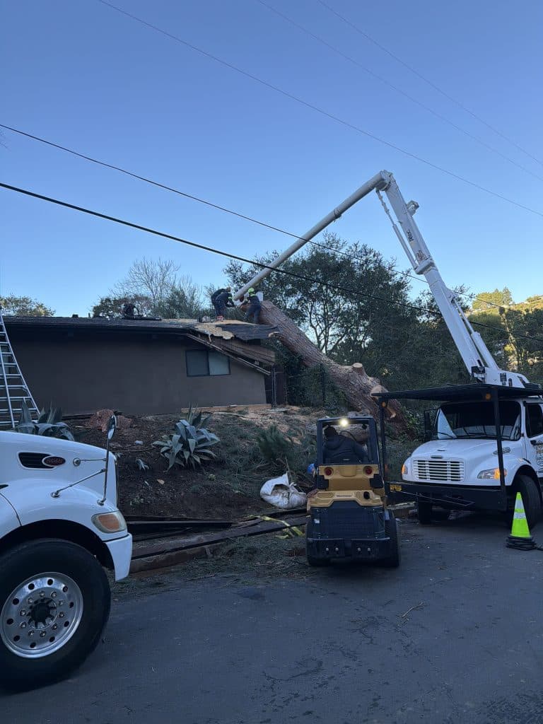 Fallen tree removal from a house by Rancho Landscape & Tree Care