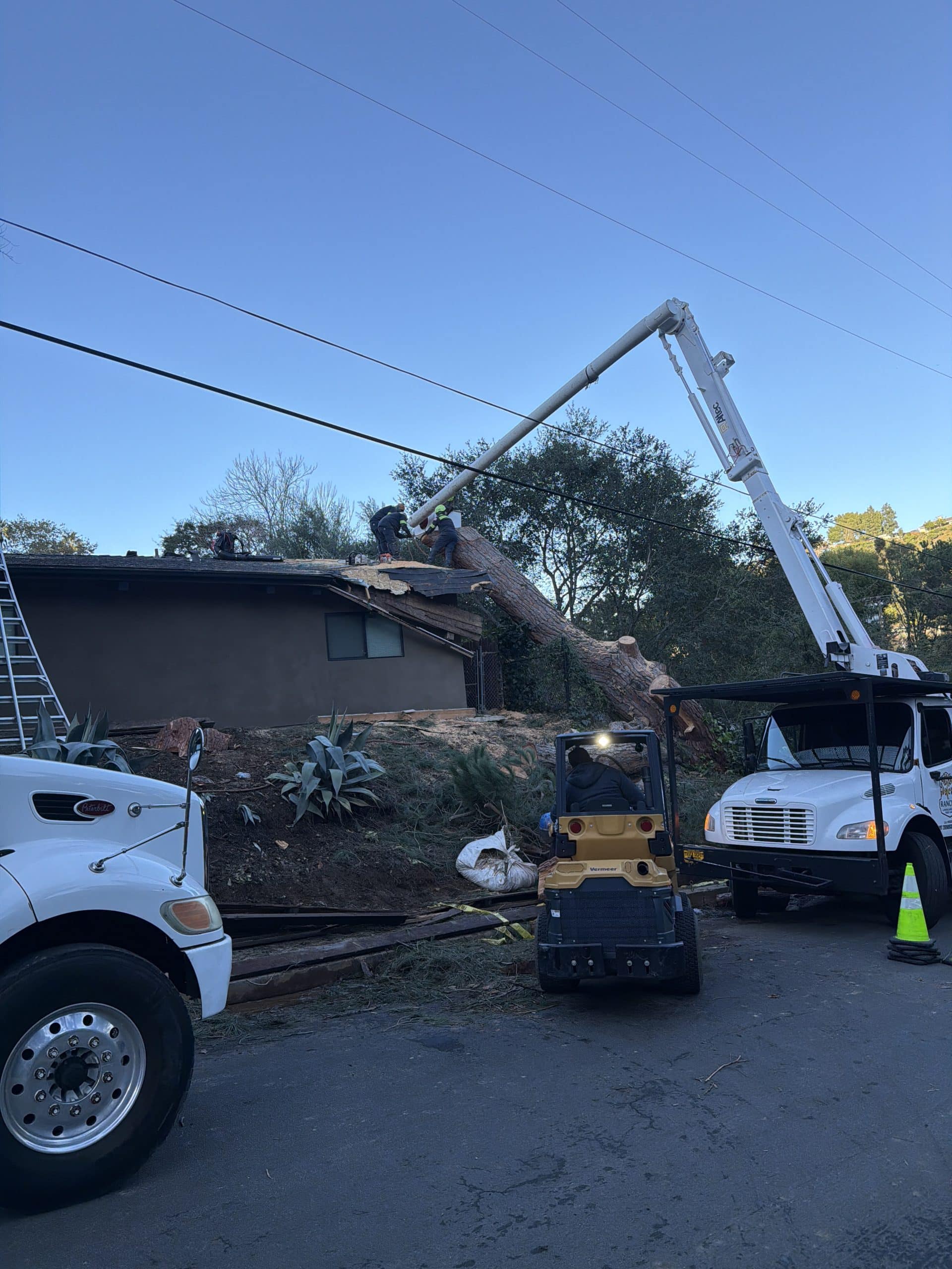 Fallen tree removal from a house by Rancho Landscape & Tree Care
