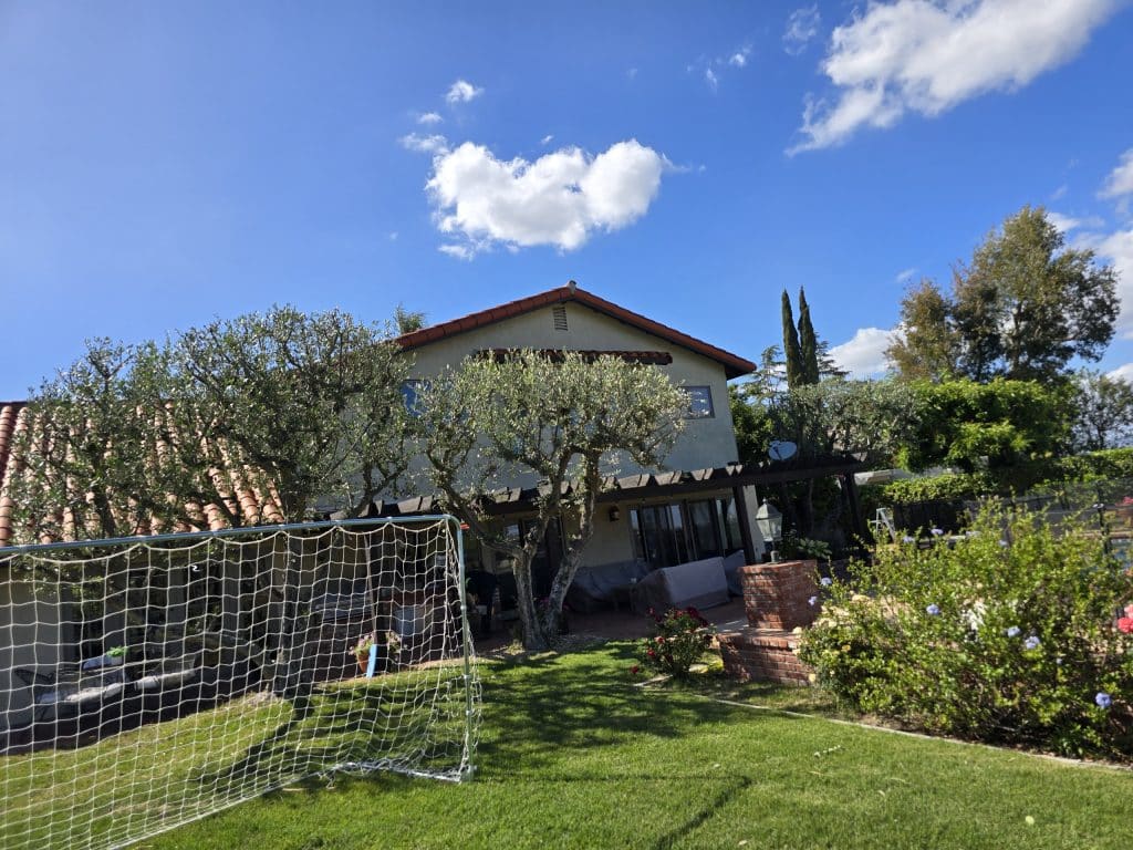 Rancho Landscape & Tree Care tree trimming job